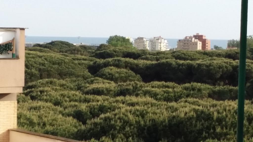 Superattico Panoramico Castel Fusano